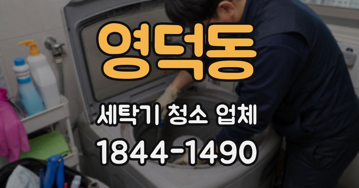 영덕동 세탁기 청소 업체