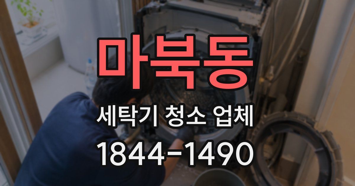 마북동 세탁기 청소 업체