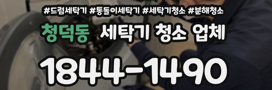 청덕동 세탁기 청소 업체
