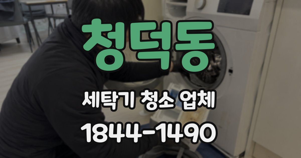 청덕동 세탁기 청소 업체
