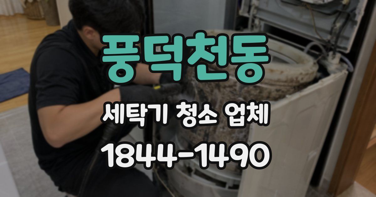 풍덕천동 세탁기 청소 업체