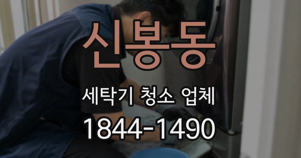 신봉동 세탁기 청소 업체