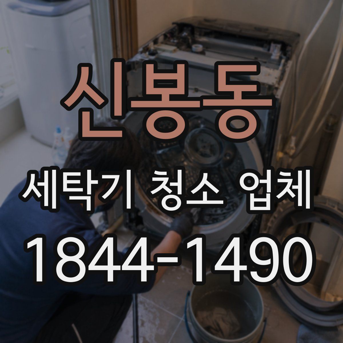 신봉동 세탁기 청소 업체