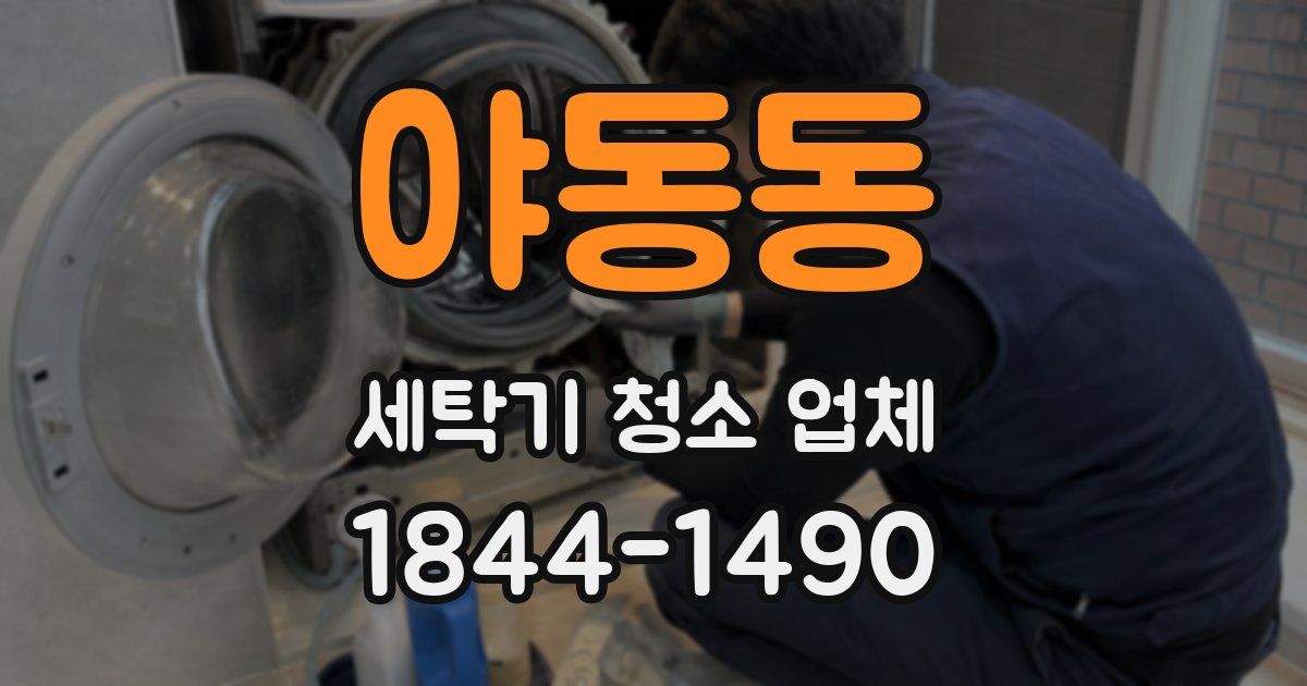 야동동 세탁기 청소 업체