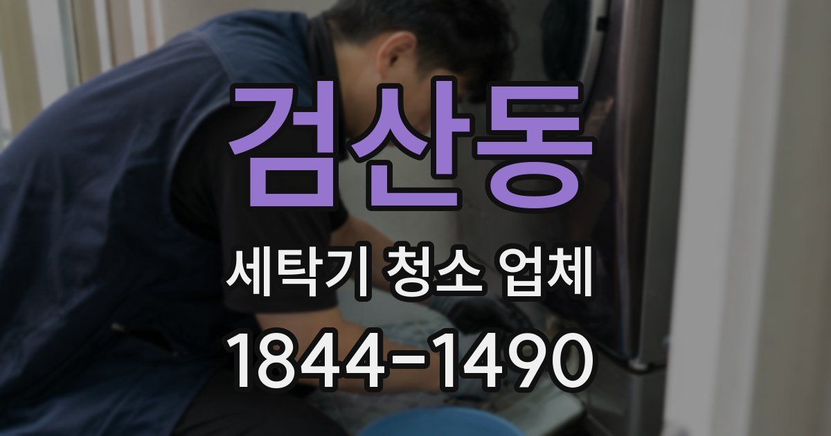 검산동 세탁기 청소 업체