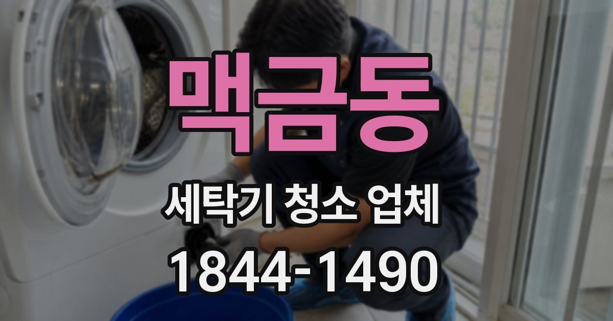맥금동 세탁기 청소 업체