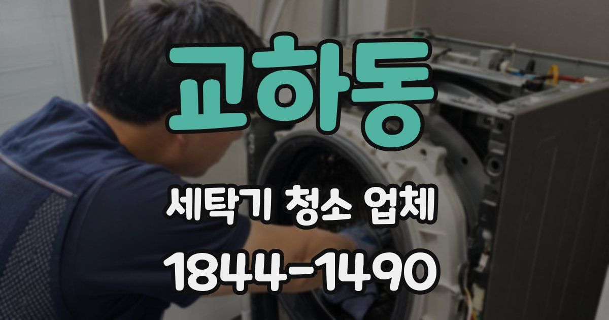 교하동 세탁기 청소 업체