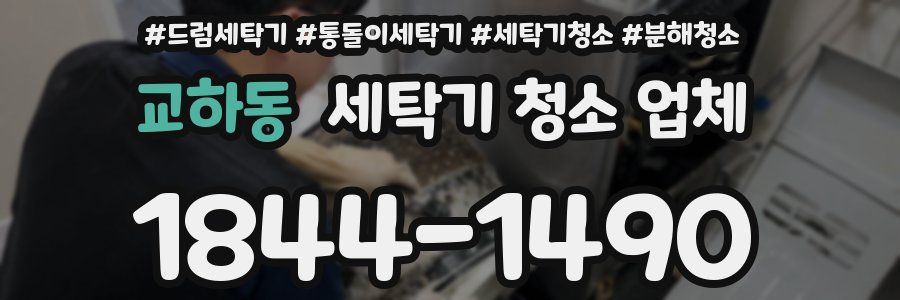 교하동 세탁기 청소 업체