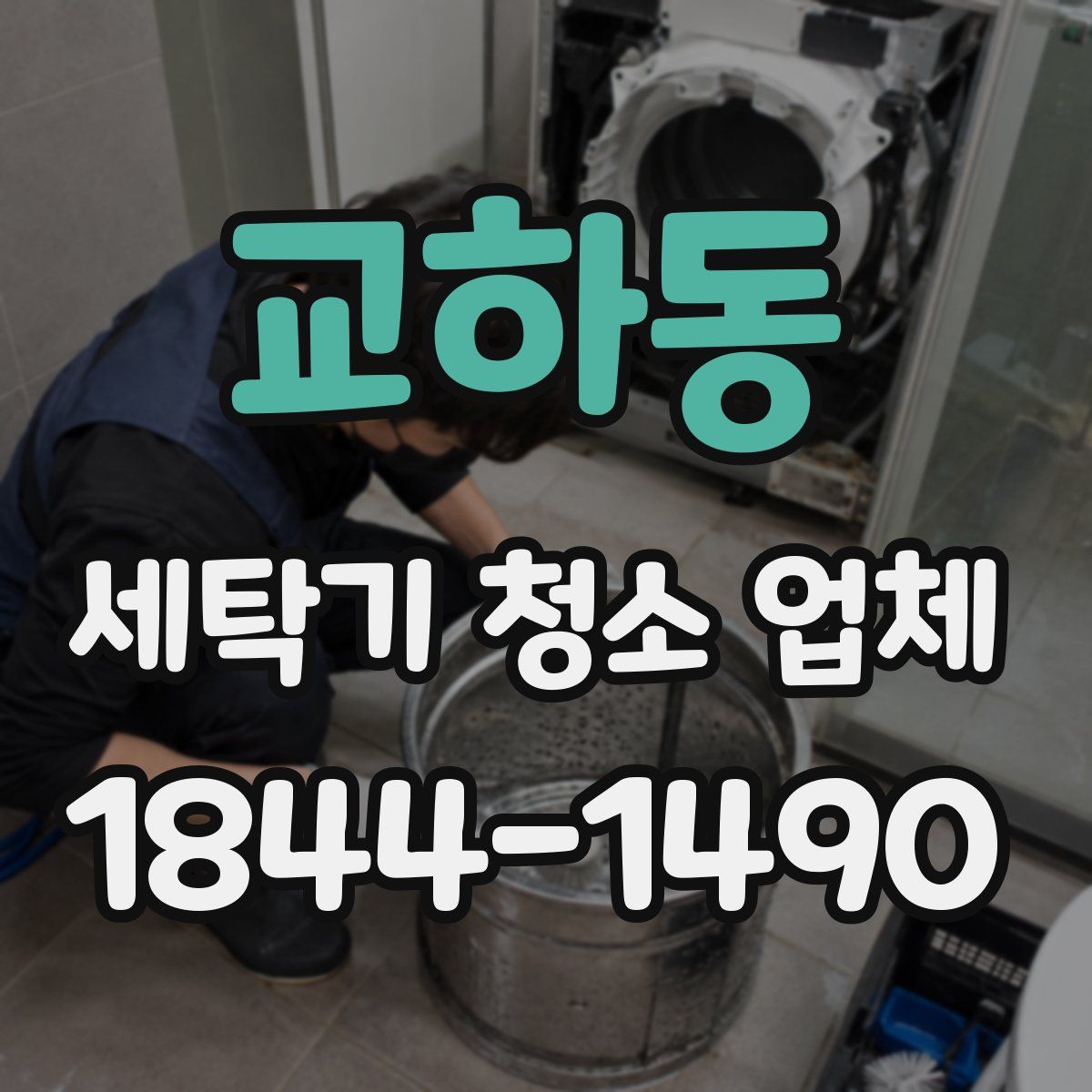 교하동 세탁기 청소 업체