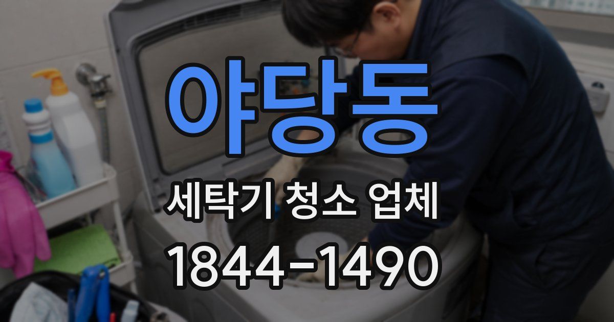 야당동 세탁기 청소 업체