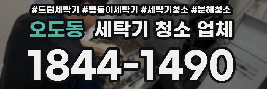 오도동 세탁기 청소 업체
