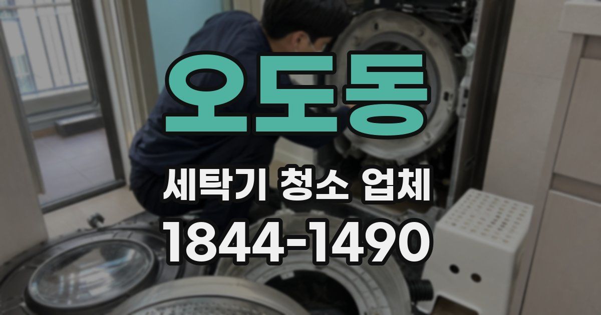 오도동 세탁기 청소 업체