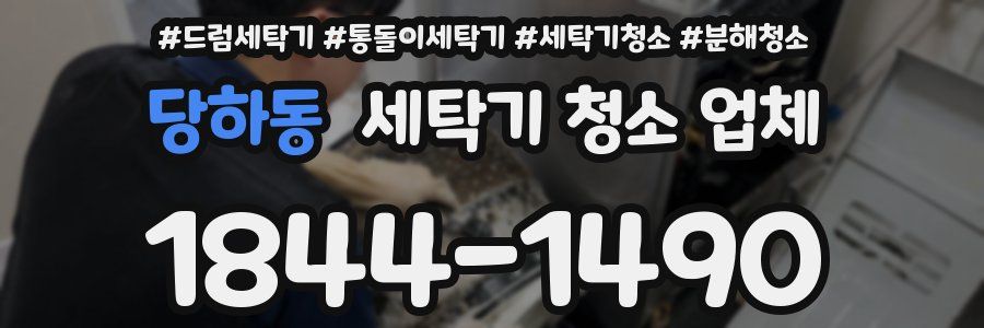 당하동 세탁기 청소 업체