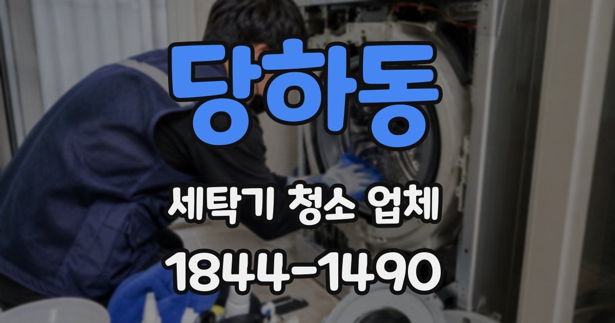 당하동 세탁기 청소 업체