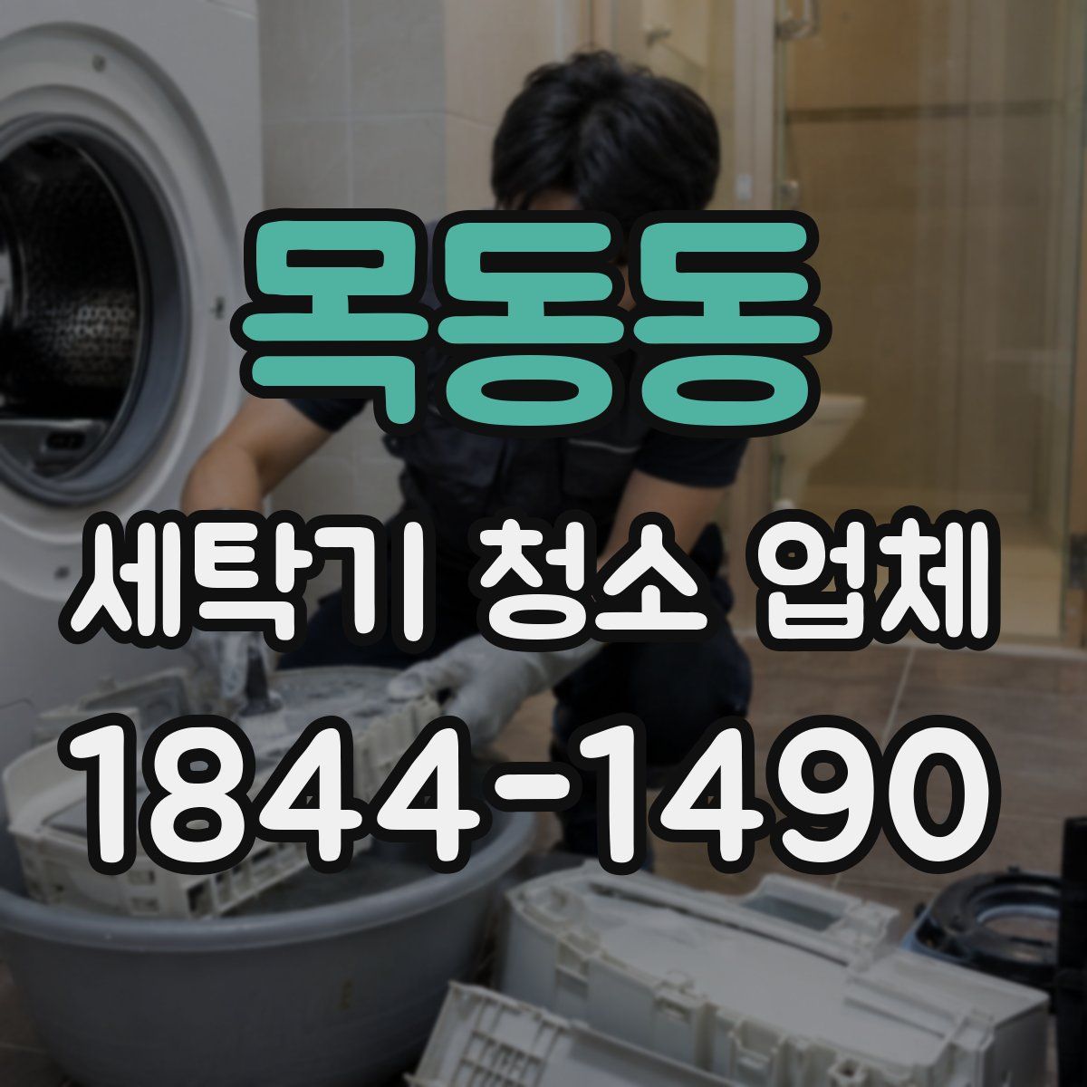 목동동 세탁기 청소 업체
