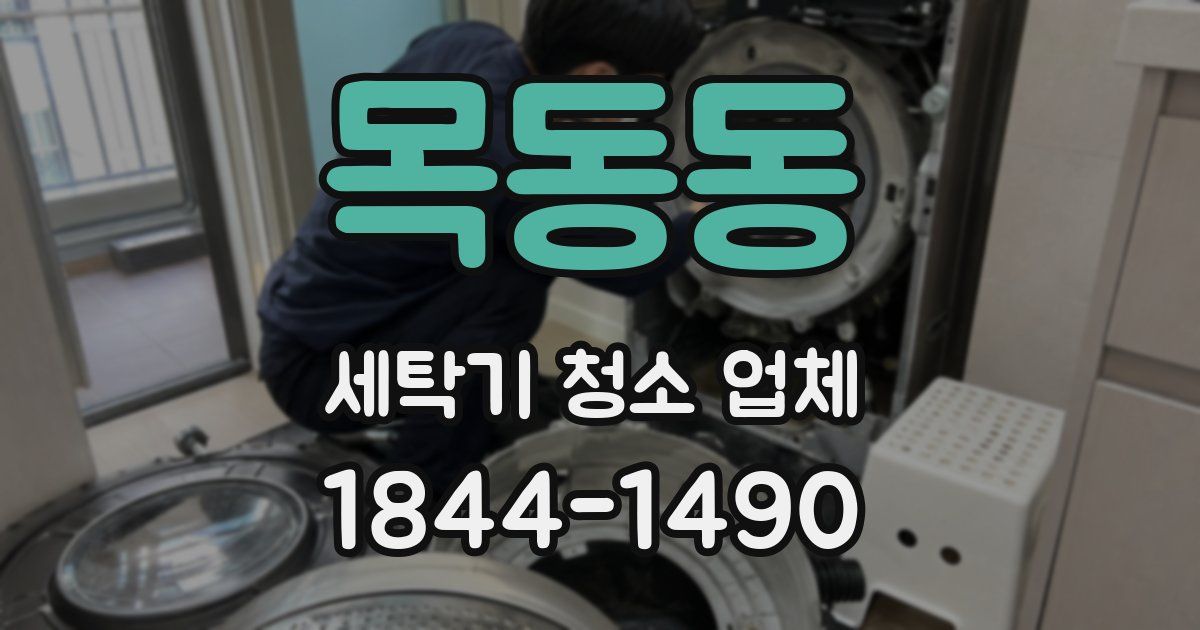 목동동 세탁기 청소 업체