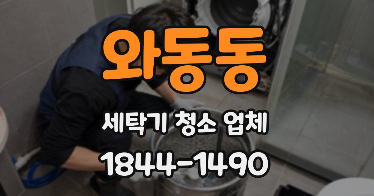 와동동 세탁기 청소 업체