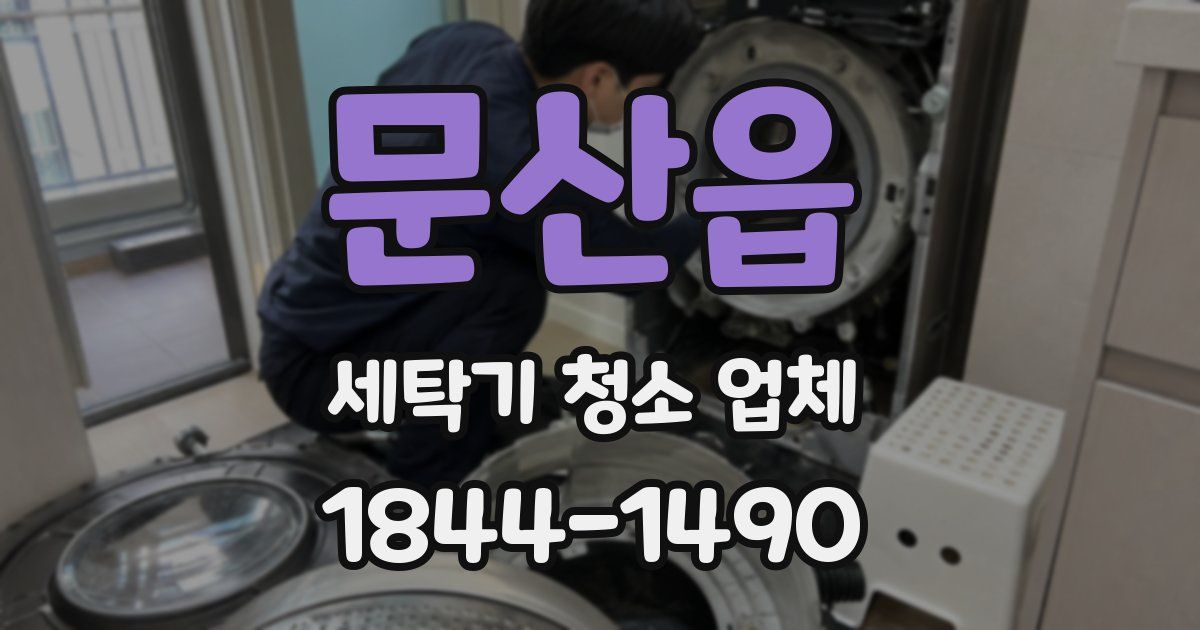 문산읍 세탁기 청소 업체