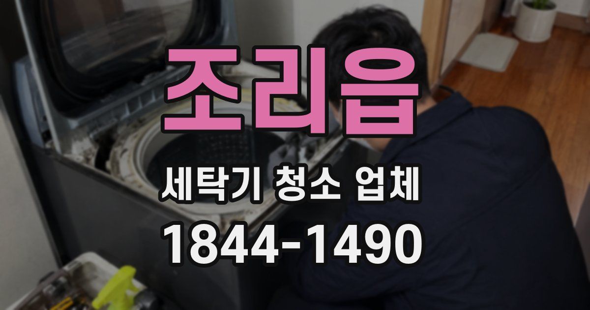 조리읍 세탁기 청소 업체