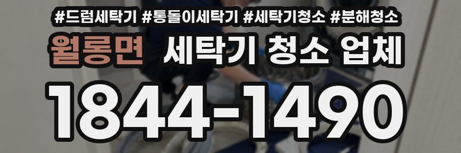 월롱면 세탁기 청소 업체