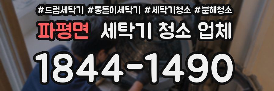 파평면 세탁기 청소 업체