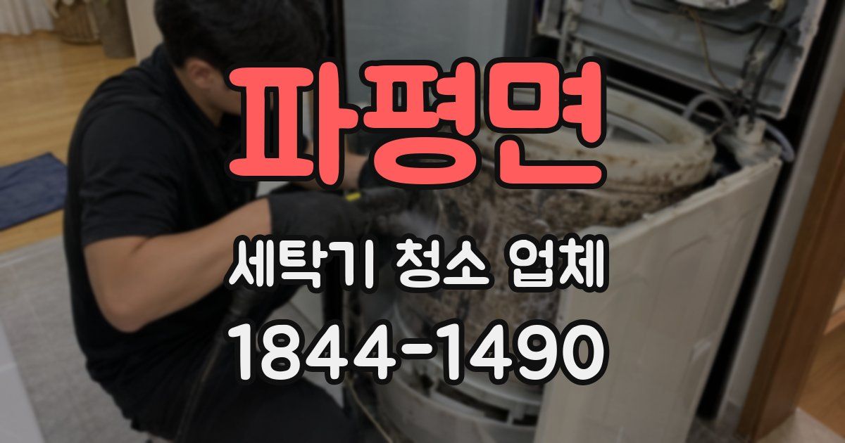 파평면 세탁기 청소 업체