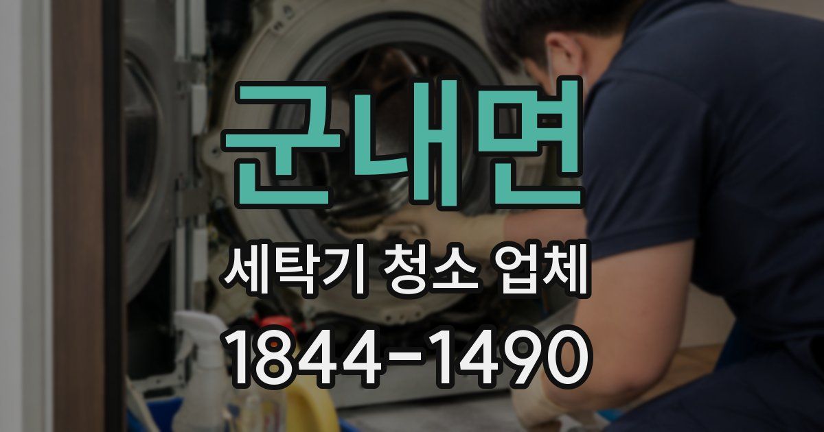 군내면 세탁기 청소 업체