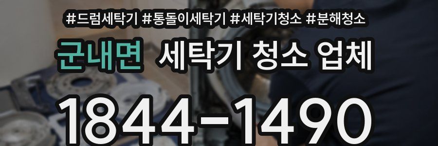 군내면 세탁기 청소 업체