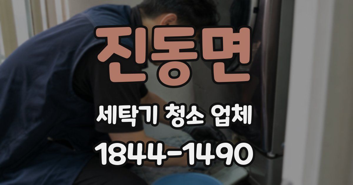 진동면 세탁기 청소 업체
