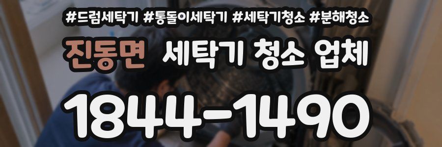 진동면 세탁기 청소 업체