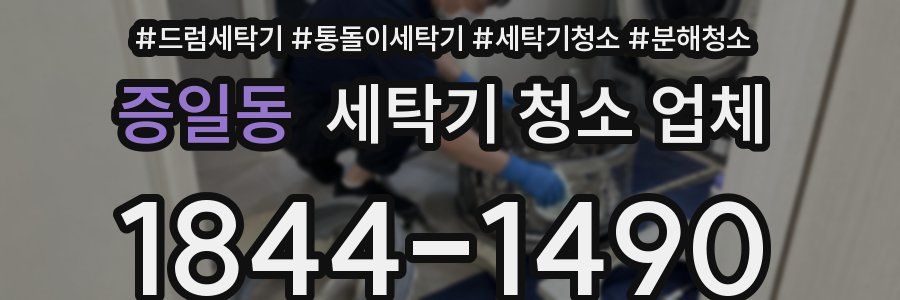 증일동 세탁기 청소 업체