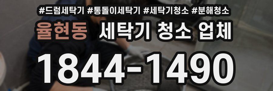 율현동 세탁기 청소 업체