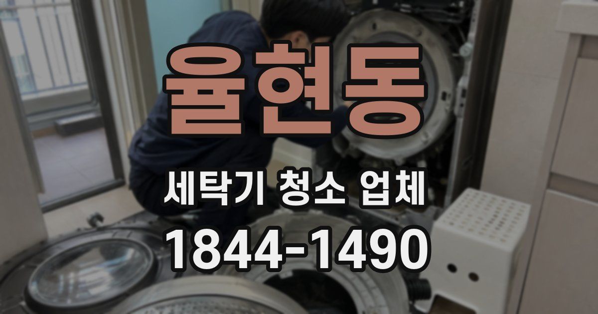 율현동 세탁기 청소 업체