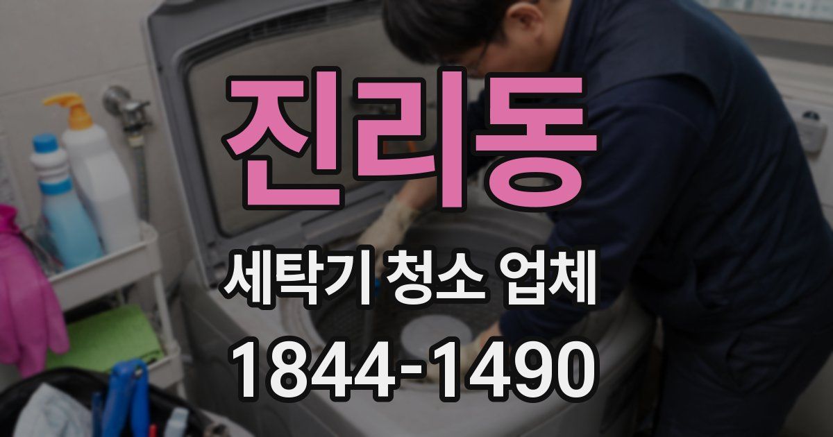 진리동 세탁기 청소 업체
