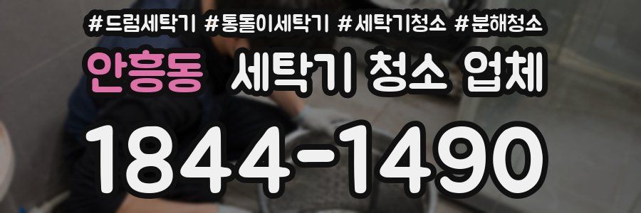 안흥동 세탁기 청소 업체