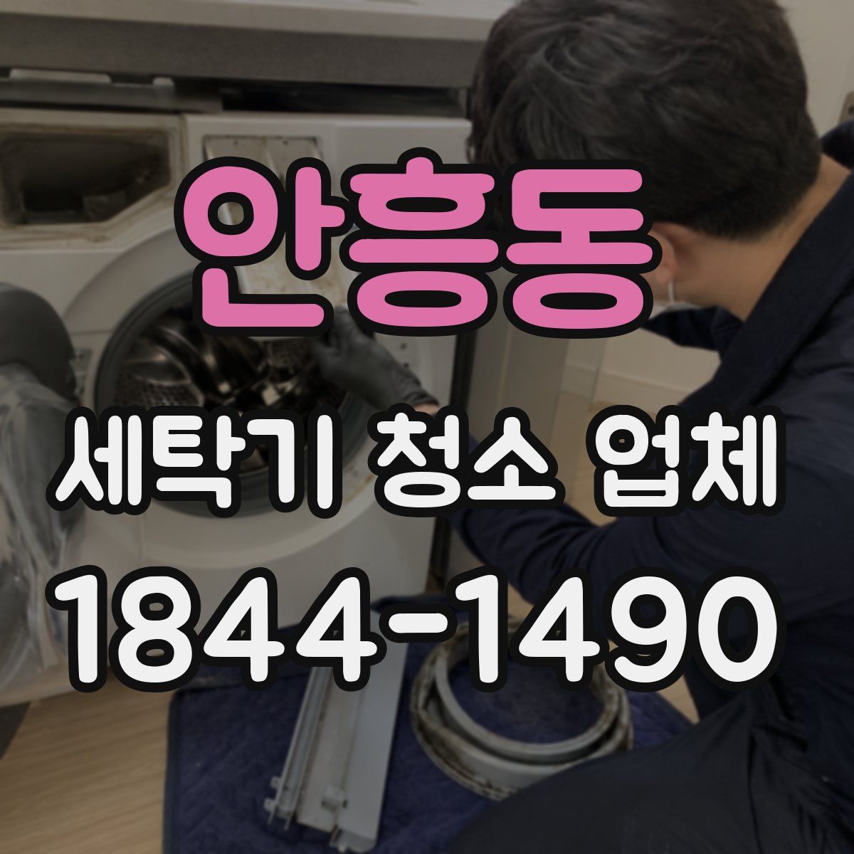 안흥동 세탁기 청소 업체