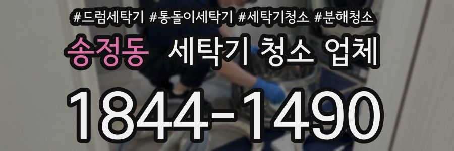 송정동 세탁기 청소 업체