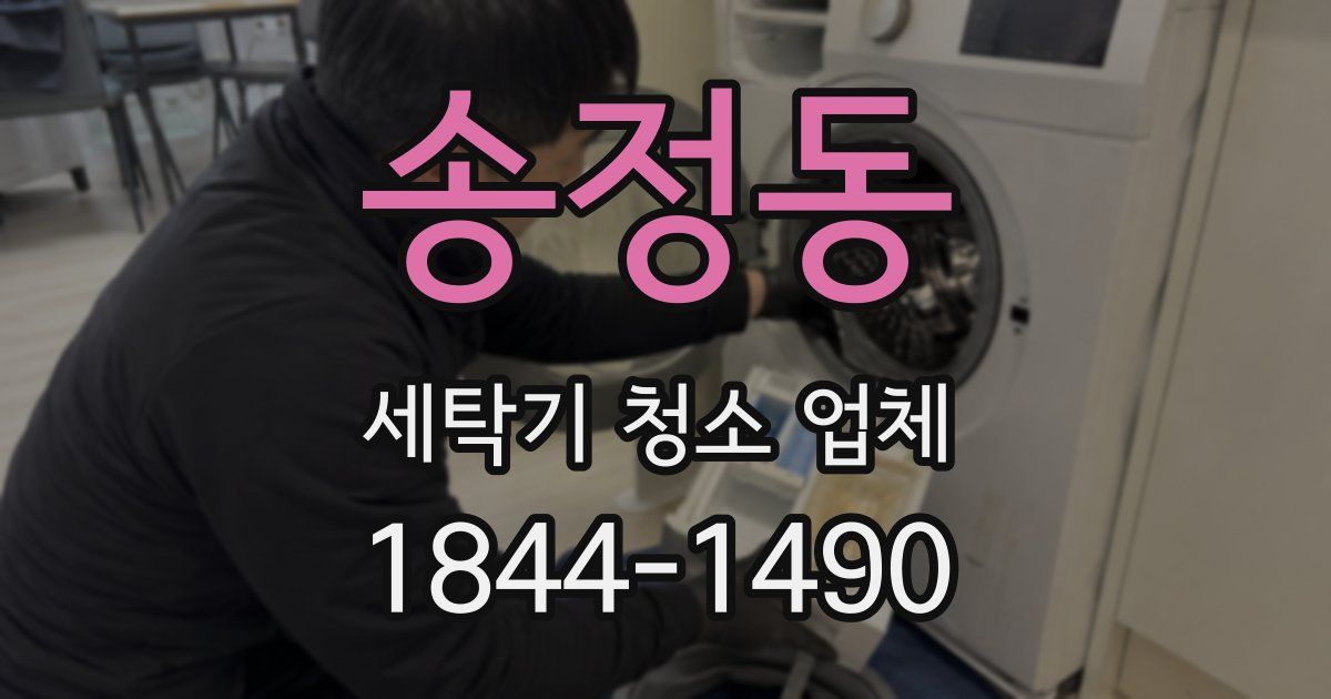 송정동 세탁기 청소 업체