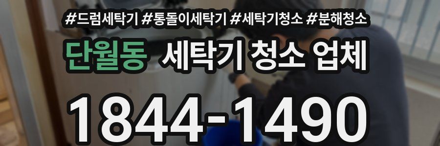 단월동 세탁기 청소 업체