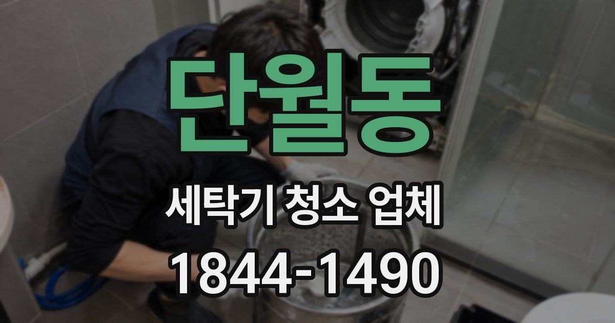 단월동 세탁기 청소 업체