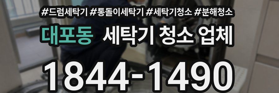 대포동 세탁기 청소 업체