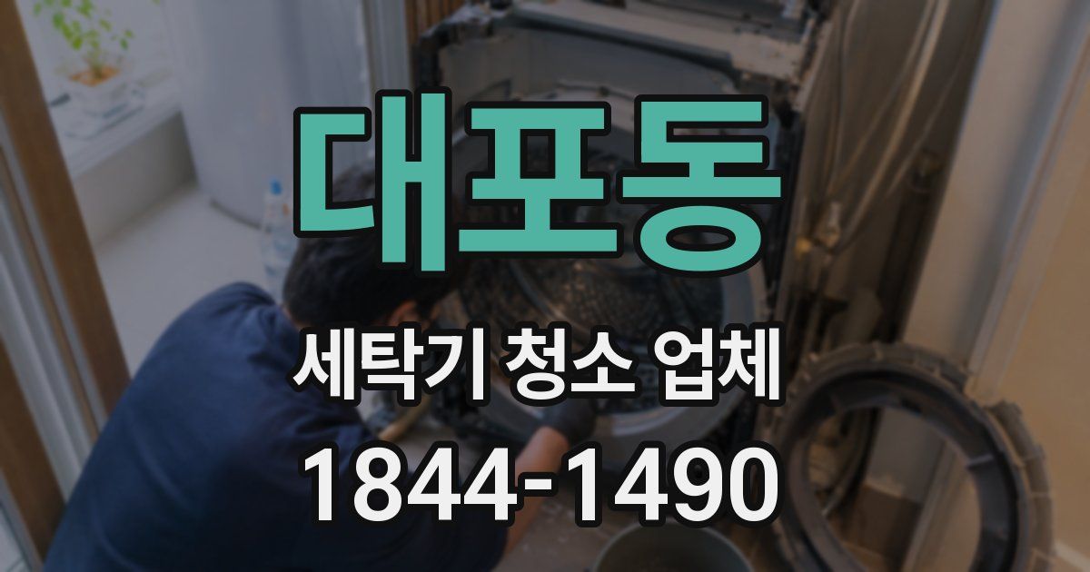 대포동 세탁기 청소 업체