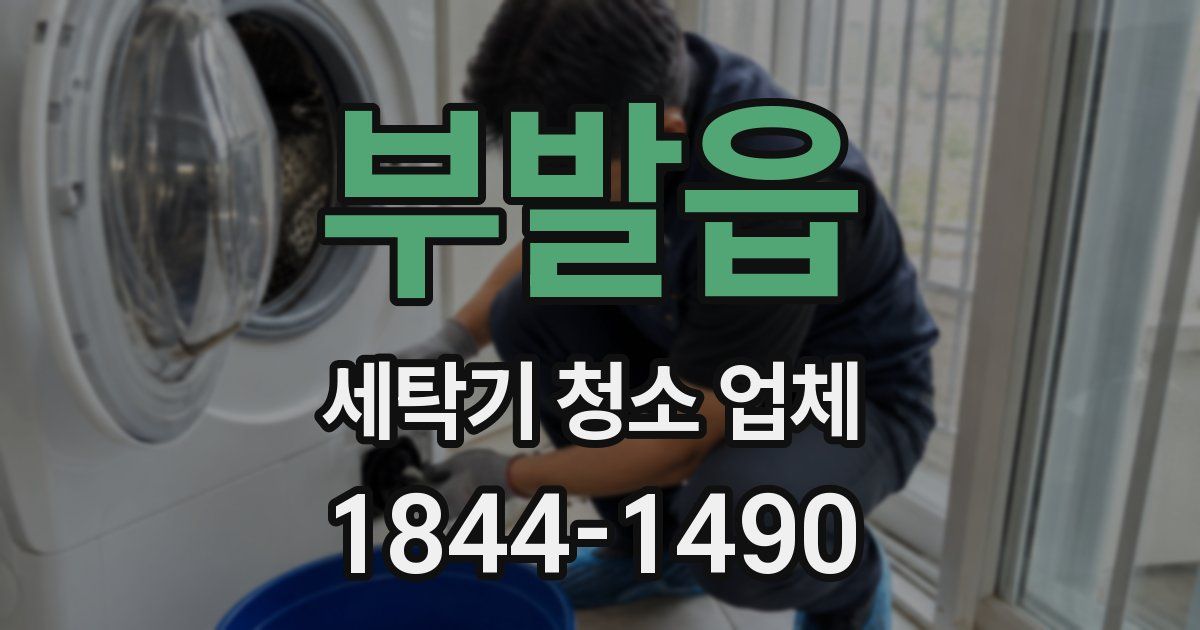 부발읍 세탁기 청소 업체