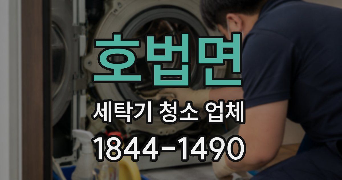 호법면 세탁기 청소 업체