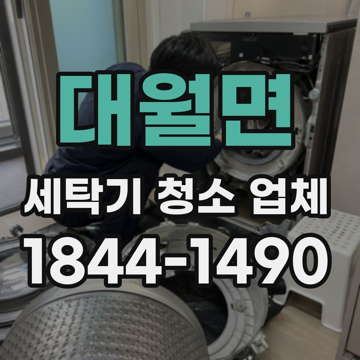대월면 세탁기 청소 업체