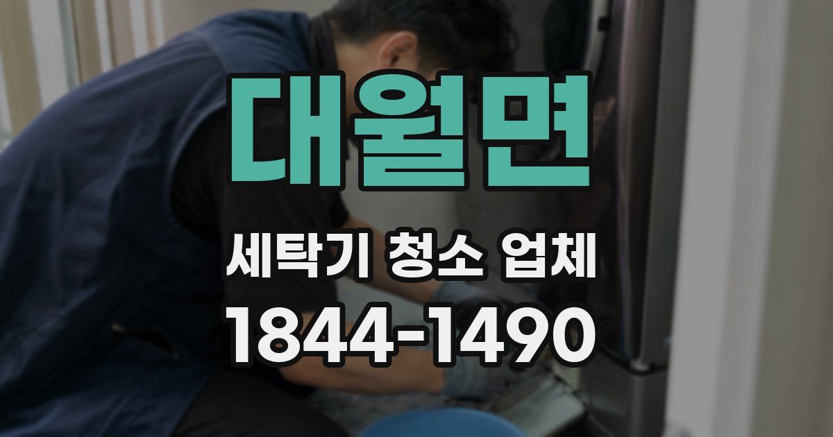 대월면 세탁기 청소 업체