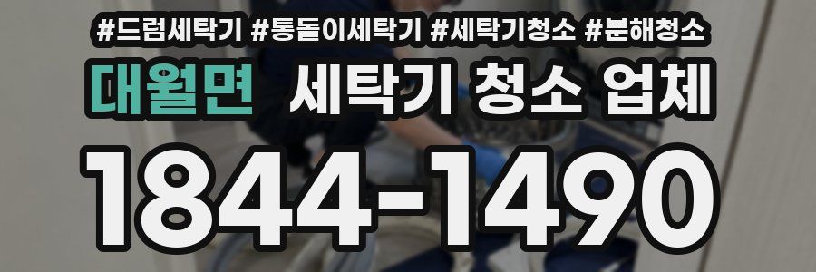 대월면 세탁기 청소 업체
