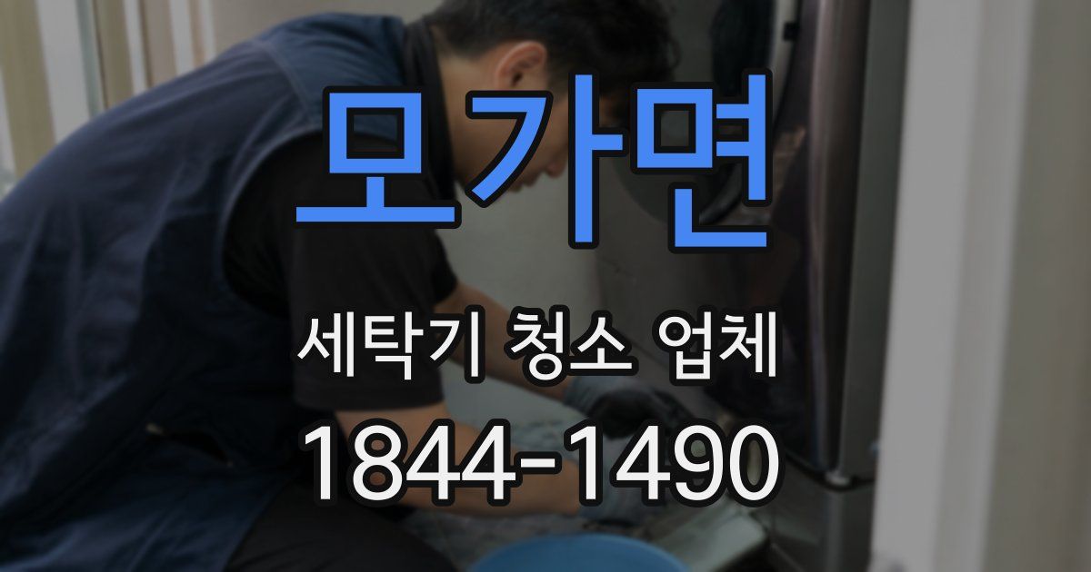 모가면 세탁기 청소 업체