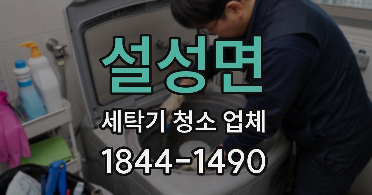 설성면 세탁기 청소 업체