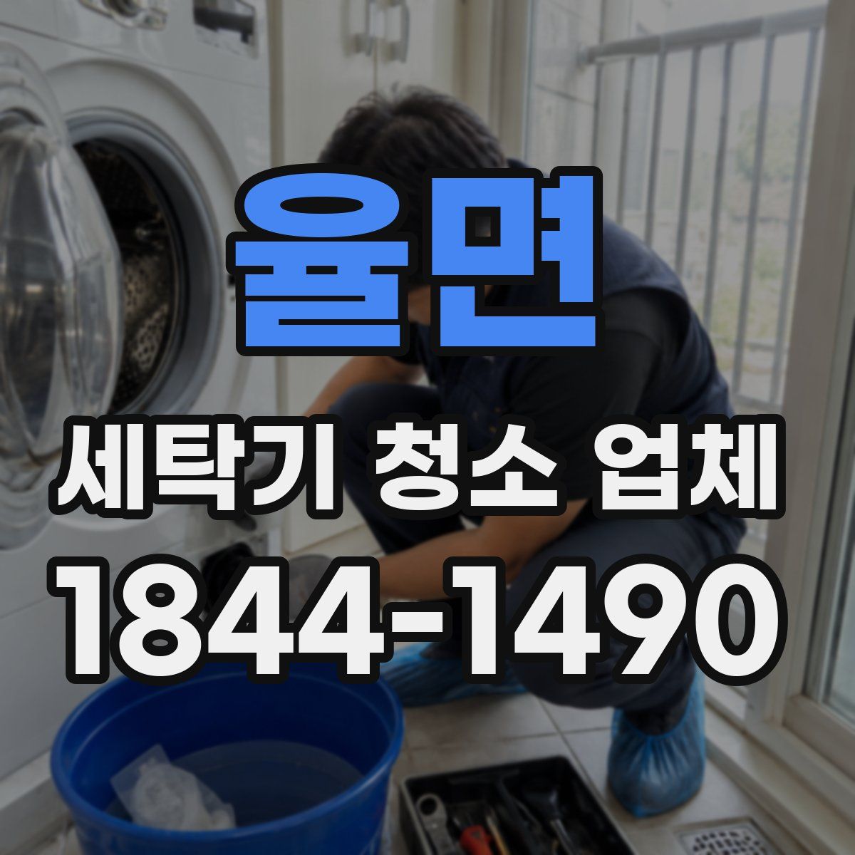 율면 세탁기 청소 업체